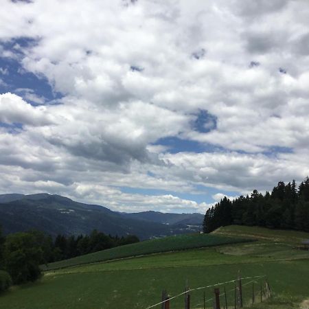 فندق Gasthof Wadl Feldkirchen in Kärnten المظهر الخارجي الصورة